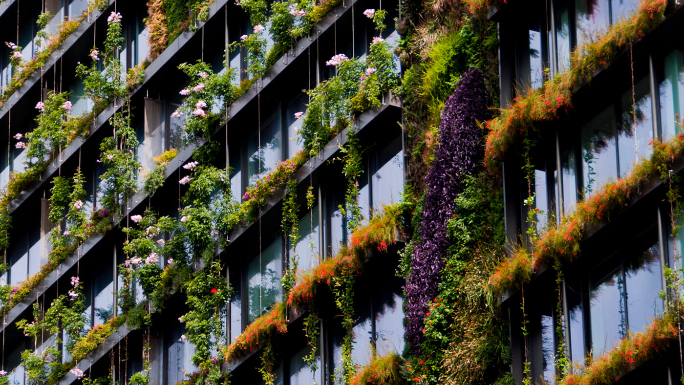 Vertical garden on building