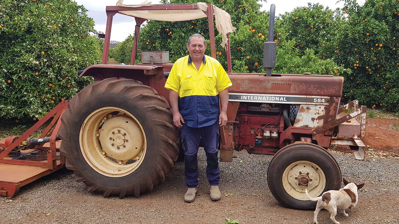 A man standing in front of a tractor in an organge grove with a dog at the front.