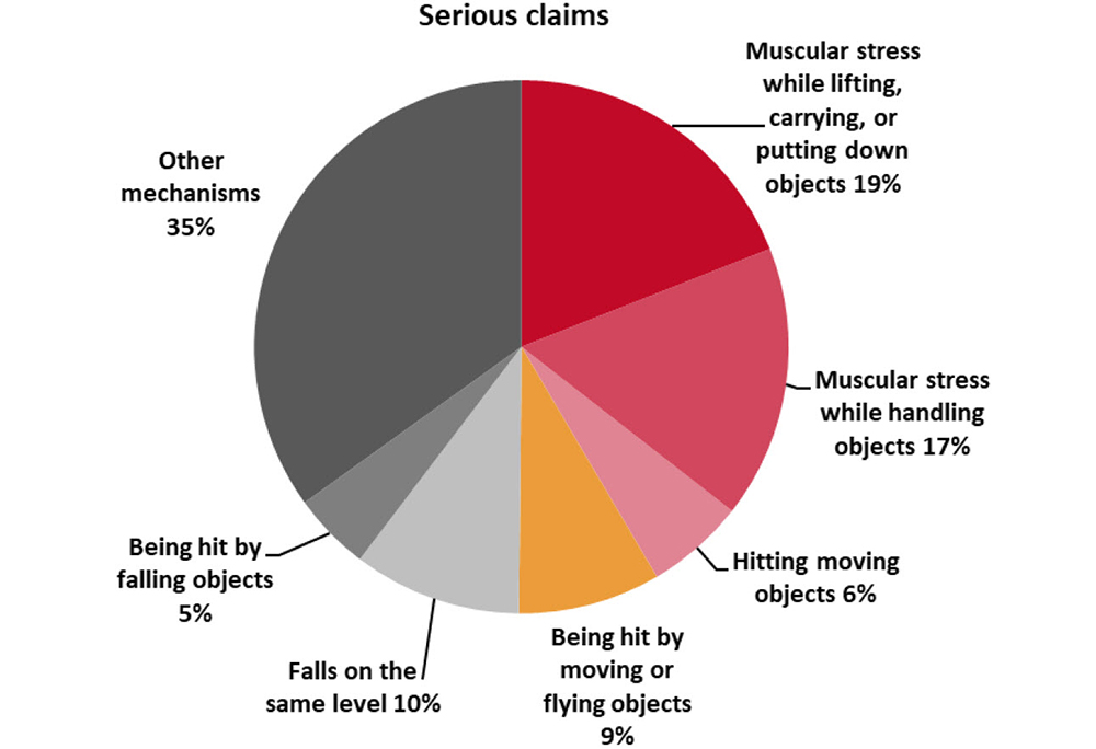 Pie chart showing distribution of serious claims: Muscular stress while lifting, carrying or putting down objects 19%, muscular stress while handling objects 17%, hitting moving objects 6%, being hit by moving or flying objects 9%, falls on the same level 10%, being hit by falling objects 5% and other mechanisms 35%.