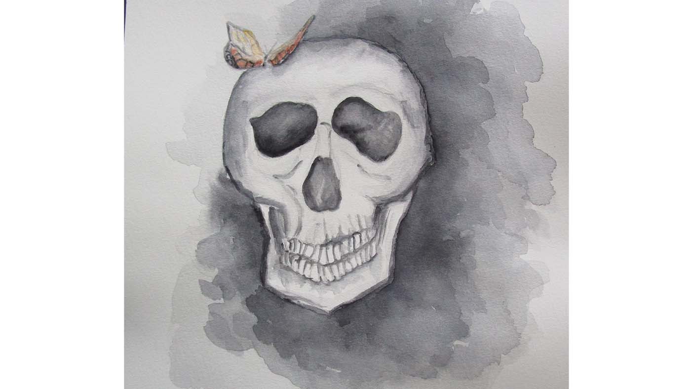 A drawing of a skull with a butterfly by Shine Art Prize entrant Asha Prasad
