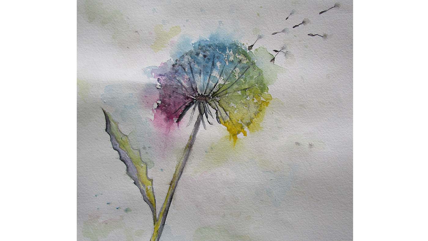 A drawing of a rainbow dandelion by Shine Art Prize entrant Asha Prasad 